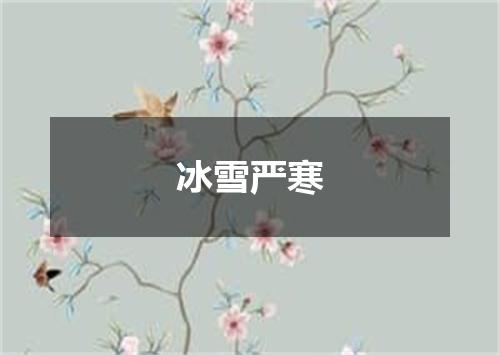冰雪严寒