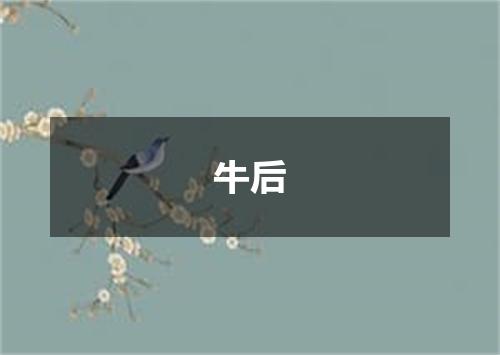牛后
