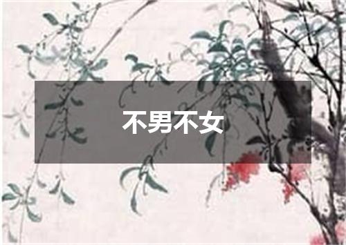 不男不女
