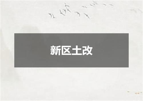 新区土改