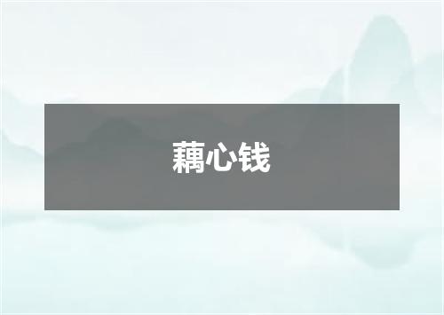 藕心钱