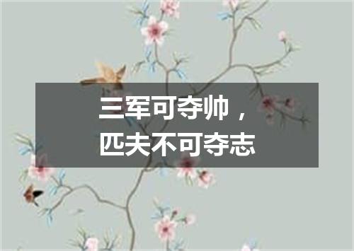 三军可夺帅，匹夫不可夺志