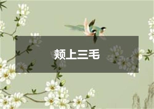 颊上三毛