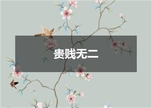 贵贱无二