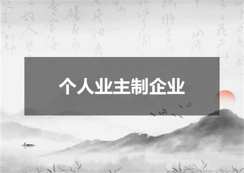 个人业主制企业