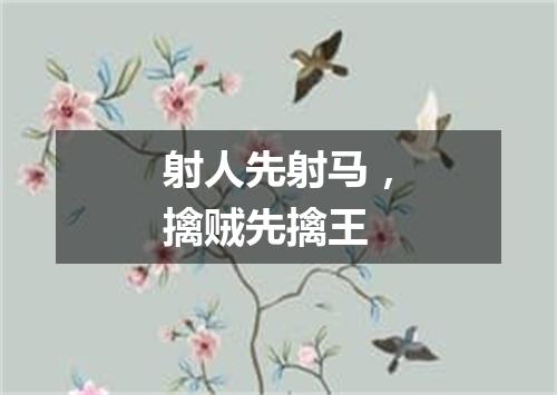 射人先射马，擒贼先擒王