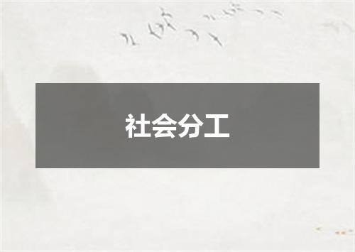 社会分工