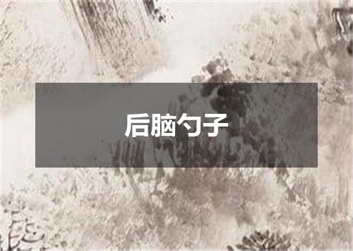 后脑勺子