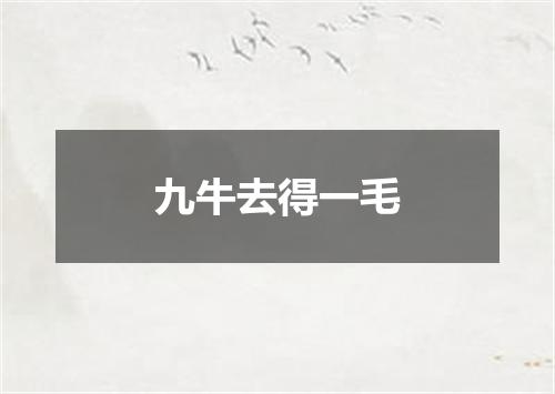 九牛去得一毛