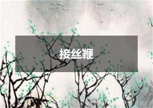 接丝鞭