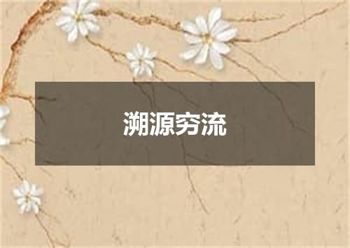 溯源穷流