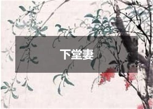 下堂妻