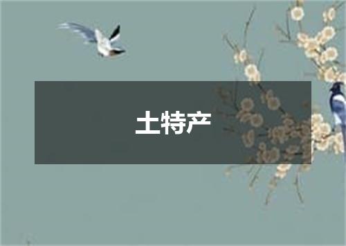 土特产