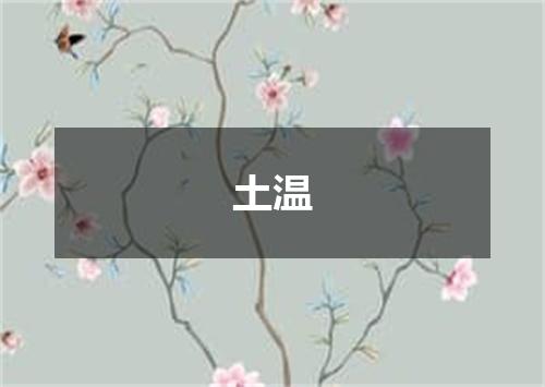 土温