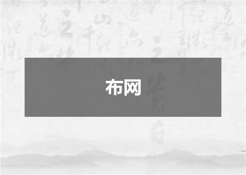 布网