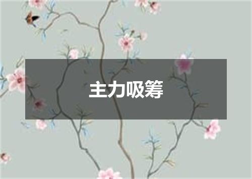 主力吸筹
