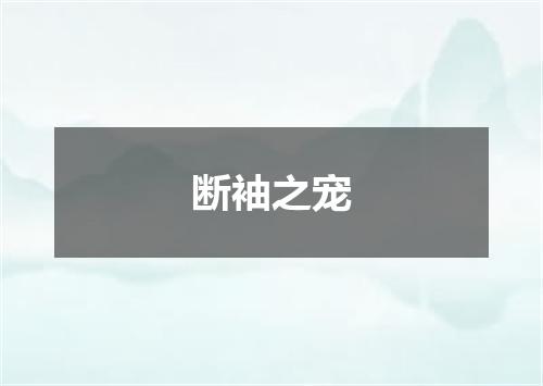 断袖之宠