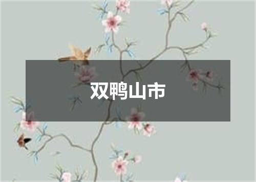 双鸭山市