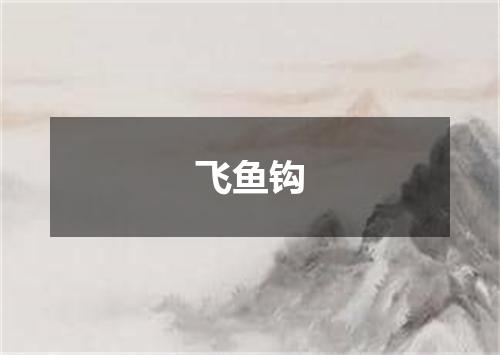 飞鱼钩