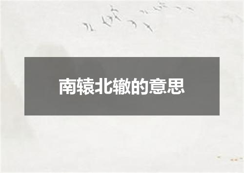 南辕北辙的意思