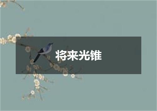 将来光锥