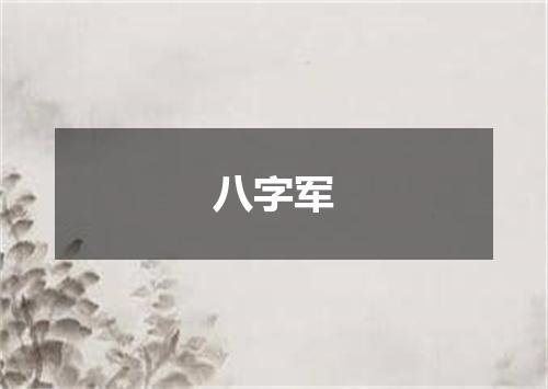 八字军