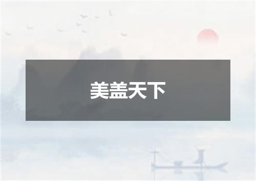 美盖天下
