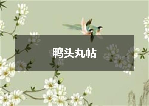 鸭头丸帖