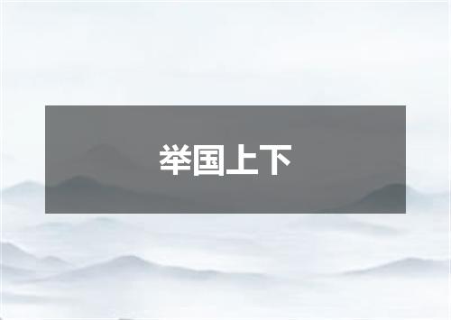 举国上下