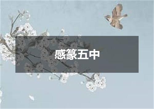 感篆五中