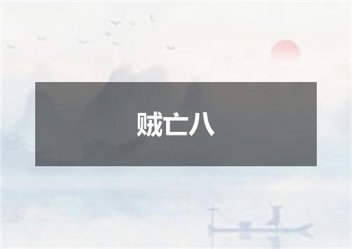 贼亡八