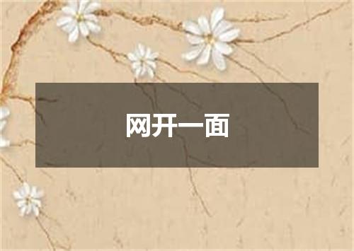 网开一面