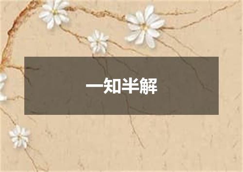 一知半解
