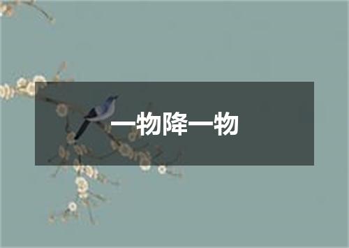 一物降一物