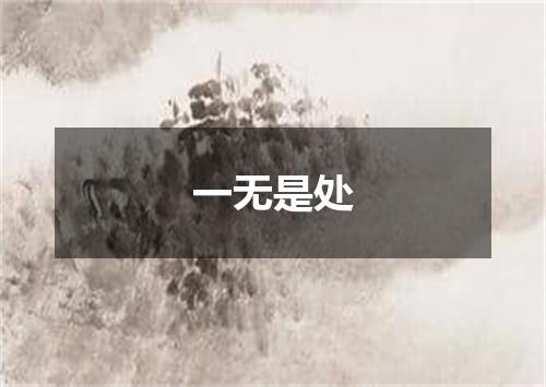 一无是处