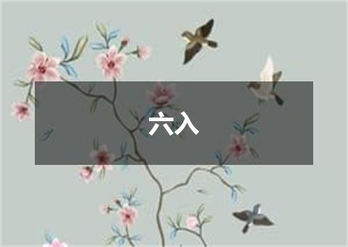 六入