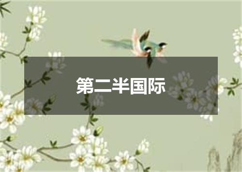 第二半国际