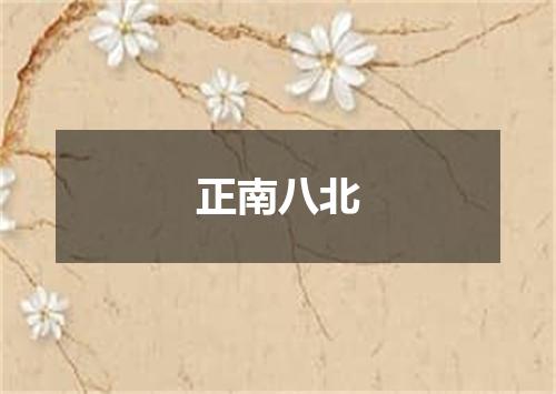 正南八北