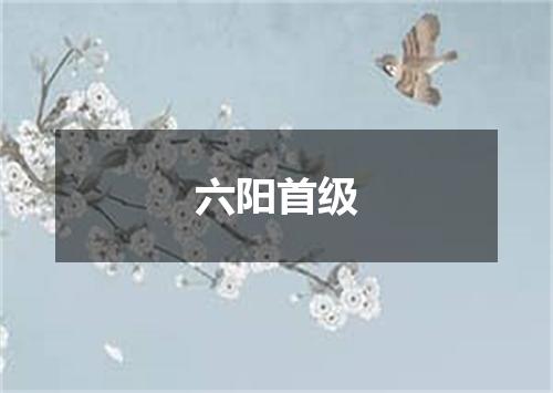 六阳首级