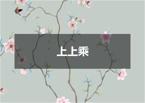 上上乘