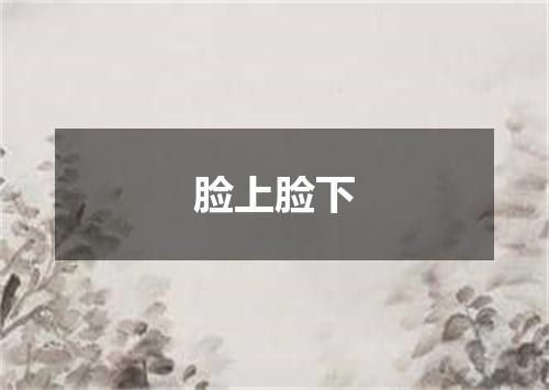 脸上脸下