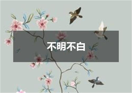 不明不白