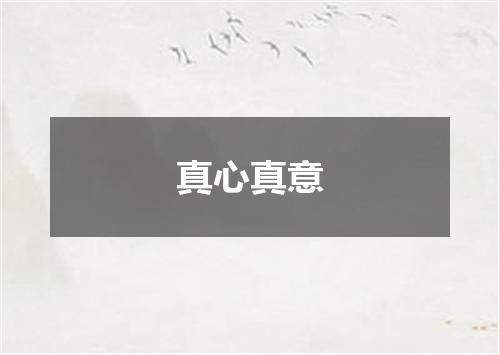 真心真意