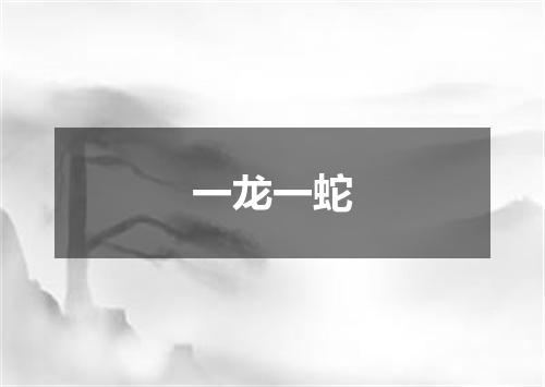 一龙一蛇