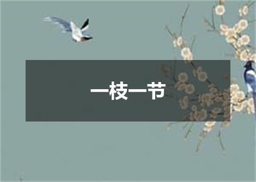 一枝一节