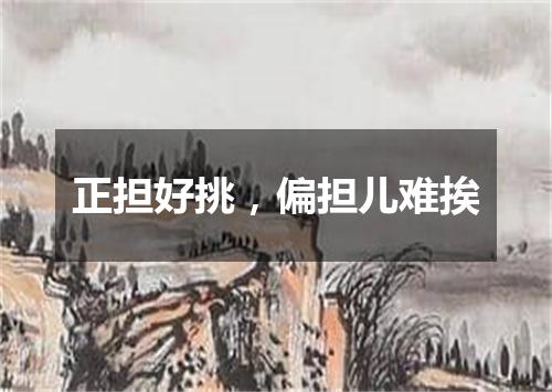正担好挑，偏担儿难挨