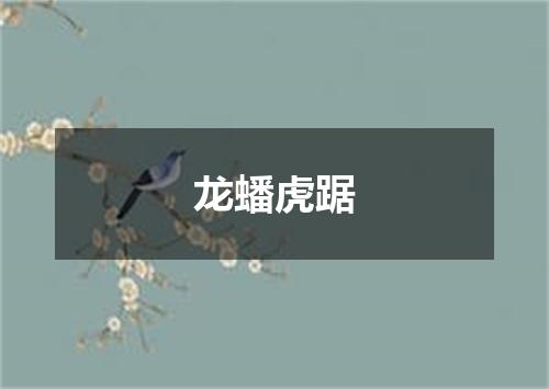 龙蟠虎踞