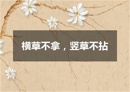 横草不拿，竖草不拈