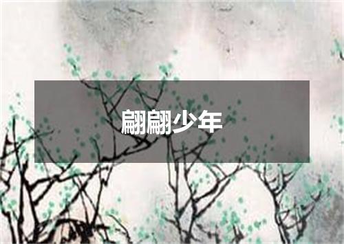 翩翩少年