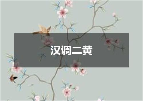 汉调二黄